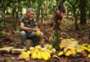 Chocolate ecuatoriano se posiciona entre los más éticos del mundo en ranking internacional