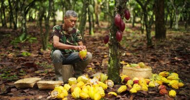 Chocolate ecuatoriano se posiciona entre los más éticos del mundo en ranking internacional